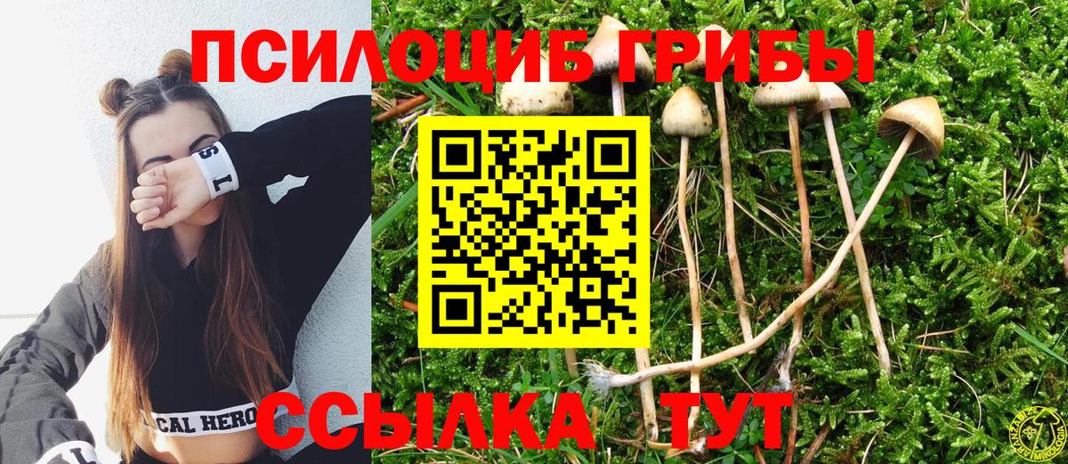 Псилоцибиновые грибы мухоморы  Галлюциногенные грибы Magic Shrooms  Вход с VPN  Старый Оскол 